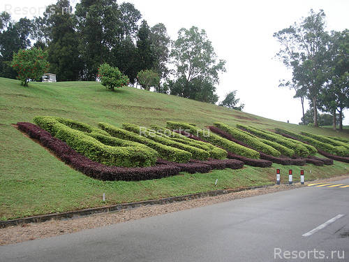 Bintan Lagoon Resort 25